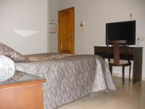 a bedroom with a bed and a desk with a television at Hotel Sacromonte in Granada
