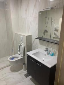 a bathroom with a sink and a toilet and a mirror at High End Apartments in Diamond Garden Building in Skopje +69 photos