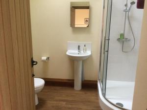 uma casa de banho com um WC, um lavatório e um chuveiro em Lackford Lakes Barns em Flempton