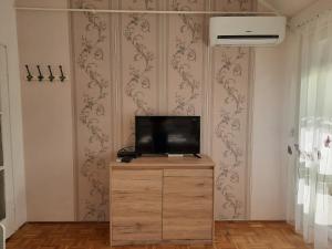 un televisor en un tocador en una habitación con una pared en Eszterlánc Apartman Eger, en Eger