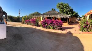 Zahrada ubytování Bungalows Cabo Pulmo