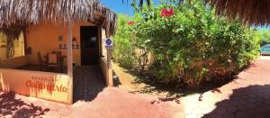 Fotografie z fotogalerie ubytování Bungalows Cabo Pulmo v destinaci Cabo Pulmo