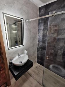 uma casa de banho com um lavatório e um chuveiro com um espelho. em Centar Stan na dan sa besplatnim parkingom em Novi Sad