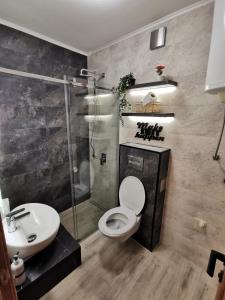uma casa de banho com um chuveiro, um WC e um lavatório. em Centar Stan na dan sa besplatnim parkingom em Novi Sad
