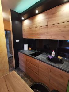 Una cocina con gabinetes de madera y un fregadero. en Centar Stan na dan sa besplatnim parkingom, en Novi Sad