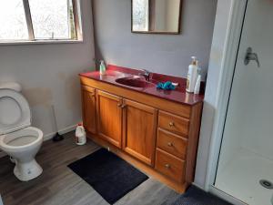 a bathroom with a sink and a toilet at Papamoa Budget Accommodation in Papamoa