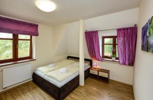 a bedroom with a bed and two windows at Apartmány Na Seníku in Třeboň