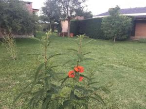 Fotografie z fotogalerie ubytování La Soleada casas de campo v destinaci Nono