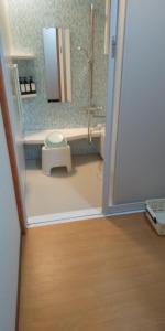 a bathroom with a toilet and a mirror at Guest House Shiraishi in Kasaoka +31 photos