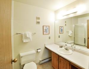 a bathroom with a sink and a toilet and a mirror at 200_Primrose in Breckenridge +19 photos
