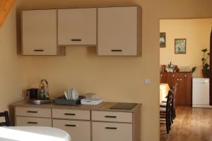 a kitchen with a counter with a sink and cabinets at Brigigyop in Lunca de Sus