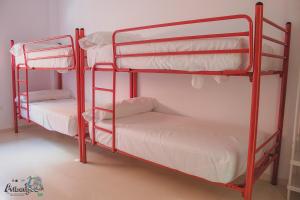 Postel nebo postele na pokoji v ubytování Albergue Multiaventura Active Andalucia