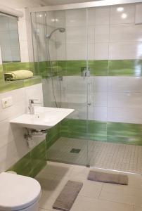 a bathroom with a shower and a sink and a toilet at Gasthof Neuhofen in Eugendorf +8 photos