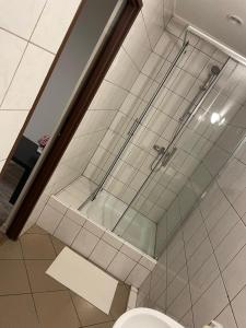 uma cabina de duche em vidro numa casa de banho com WC em Europa em Kościelec
