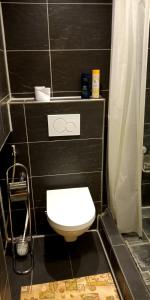 a bathroom with a white toilet and a black wall at Bydlení v centru OV blízko Stodolní, bez výtahu in Moravská Ostrava