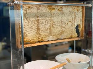un enjambre de abejas en una caja de cristal en Crowne Plaza Doha West Bay, an IHG Hotel, en Doha