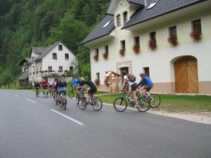 un groupe de personnes à vélo sur une route dans l'établissement Farmhouse Štiftar, à Solčava