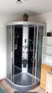 a shower with a glass enclosure in a room at Chambre d'hotes du Tailfer in Lustin