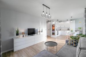 TV a/nebo společenská místnost v ubytování Apartament Skandynawski z balkonem - Dream Apart