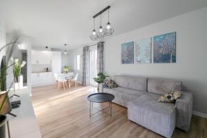 Posezení v ubytování Apartament Skandynawski z balkonem - Dream Apart