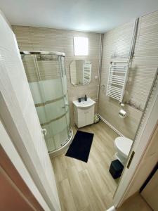 錫吉什瓦拉的住宿－Central Amelie Apartment，带淋浴、卫生间和盥洗盆的浴室