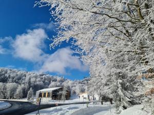Hotel Winterberg Resort durante l'inverno