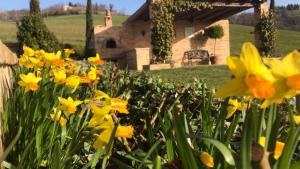 a garden of yellow flowers in front of a house at Casale delle Rondini in Tolentino