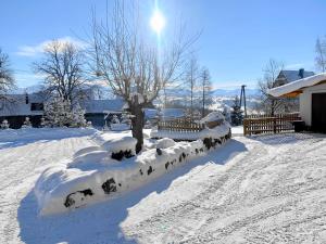 een sneeuwbedekte tuin met een boom en een hek bij Ośrodek Wypoczynkowy u Bartka in Czerwienne