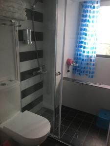 三星乡星動小屋民宿的带马桶和玻璃淋浴间的浴室