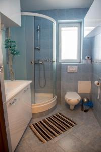 a bathroom with a shower and a toilet and a window at Apartament dwuosobowy203, 310,410, in Krynica Zdrój