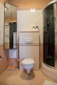 a bathroom with a toilet and a glass shower at Apartament dwuosobowy203, 310,410, in Krynica Zdrój