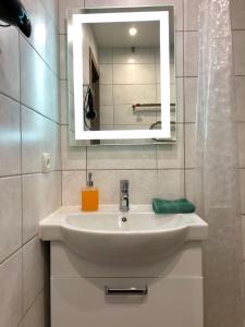 a bathroom with a white sink and a mirror at Cozy apartments on Schmidta street in Vinnytsya