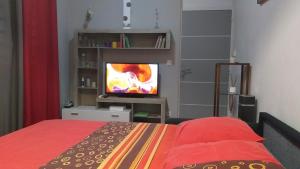 TV a/nebo společenská místnost v ubytování Beau F2 classé, vue mer, spa, jardin, bateau