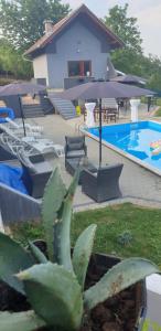 Bazén v ubytovaní Kuća za odmor Mladen i Martina alebo v jeho blízkosti
