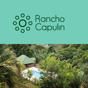 a view from a boat of a lush green hillside at Rancho Capulin B&B in Tárcoles