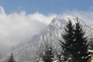 a snow covered mountain with trees in the foreground at APARTAMENT ALESSI BUȘTENI in Buşteni