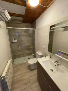 uma casa de banho com um chuveiro, um lavatório e um WC. em Cal Masuret em Planoles