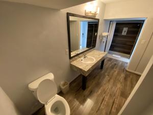 a bathroom with a sink and a toilet and a mirror at Tarpon Inn in Tarpon Springs +69 photos