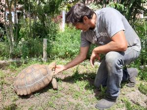 La Fattoria Delle Tartarughe vendégei