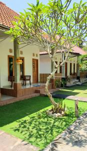 un pequeño árbol en el patio de una casa en Hello Penida House, en Nusa Penida