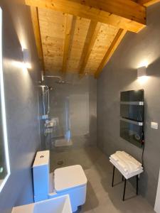 a bathroom with a shower and a toilet and a sink at Quinta d'Abegoa in Marvão