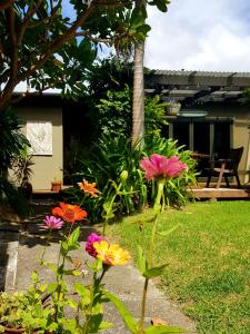 a garden with colorful flowers in a yard at Estuary Retreat Whangamata in Whangamata