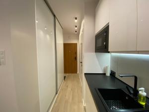 Kuchyňa alebo kuchynka v ubytovaní Apartament Lenka