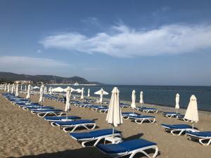 a row of lounge chairs and umbrellas on a beach at Andromeda Beach house in Polis Chrysochous