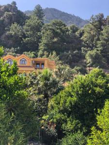 a yellow house in the midst of trees at Dores Residence in Turunç