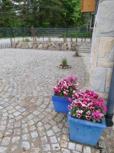 Vonkajšia záhrada v ubytovaní Pokoje na Buńdówkach