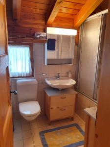 a small bathroom with a toilet and a sink at Chalet Alba A in Bürchen