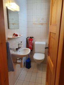 a small bathroom with a toilet and a sink at Chalet Alba A in Bürchen