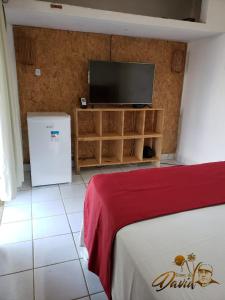 TV a/nebo společenská místnost v ubytování Pousada Porto de Paz - Noronha
