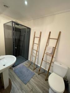 Un baño con ducha, inodoro y lavabo. en La Maison Fiets Meuse & Vélo, en Damblain